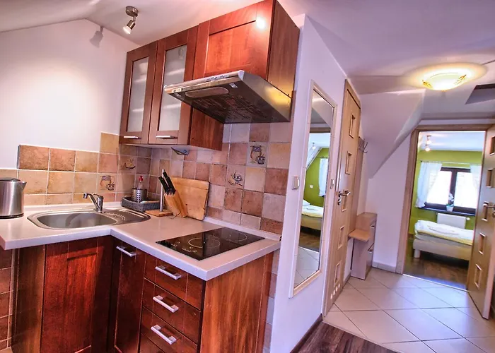 شقة Zakosiedlisko زاكوباني